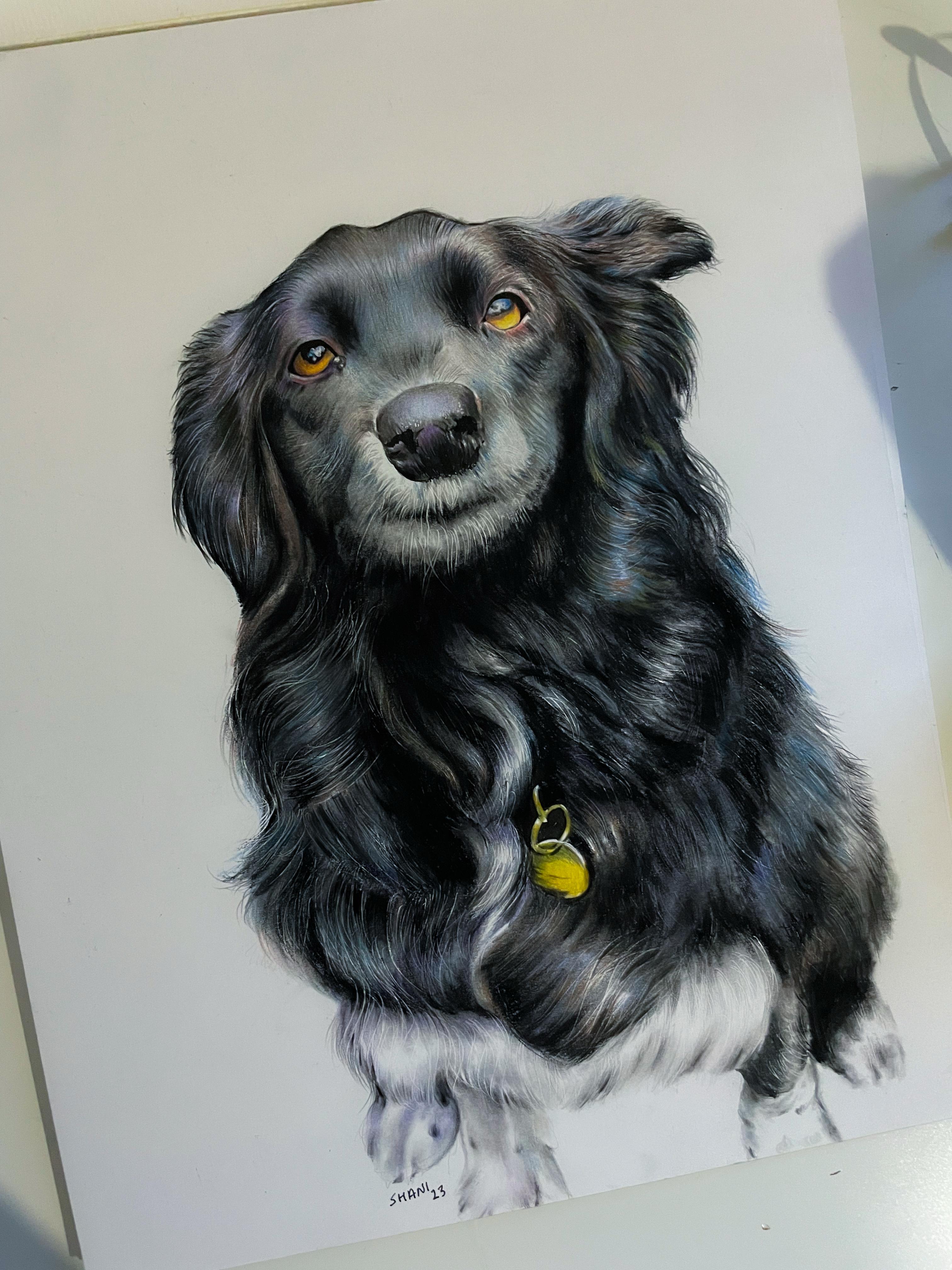 Colored Pencil Art 7