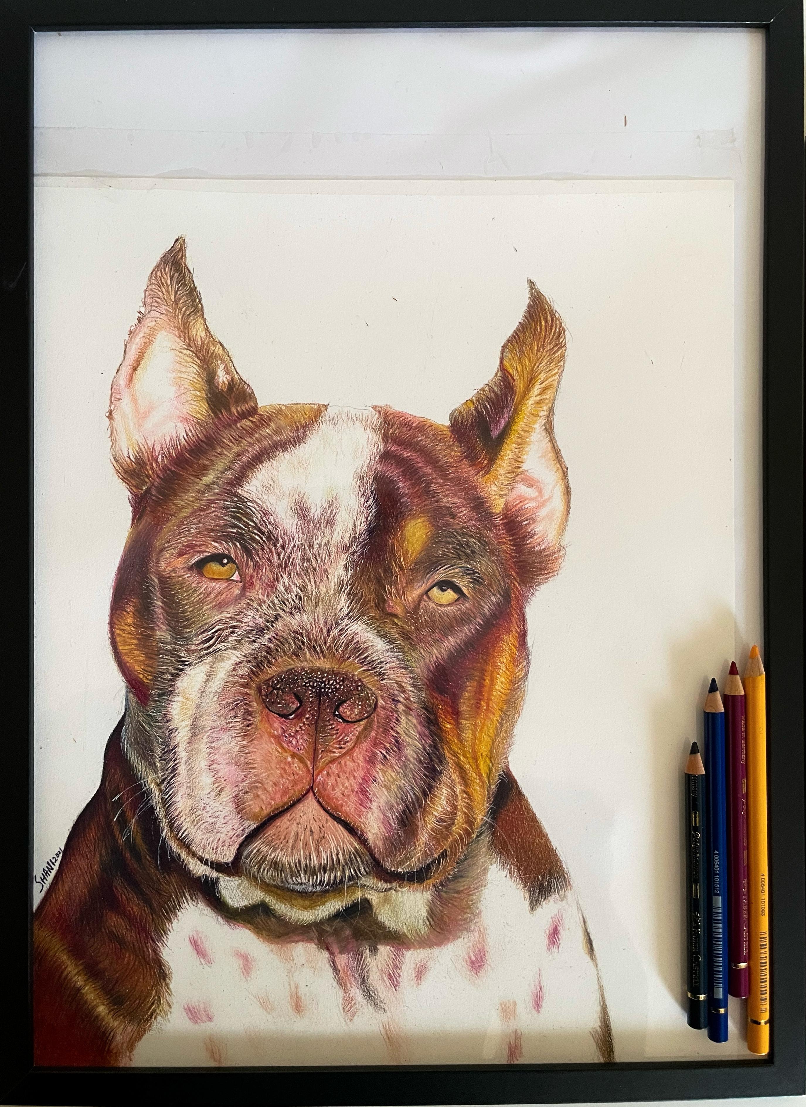 Colored Pencil Art 15