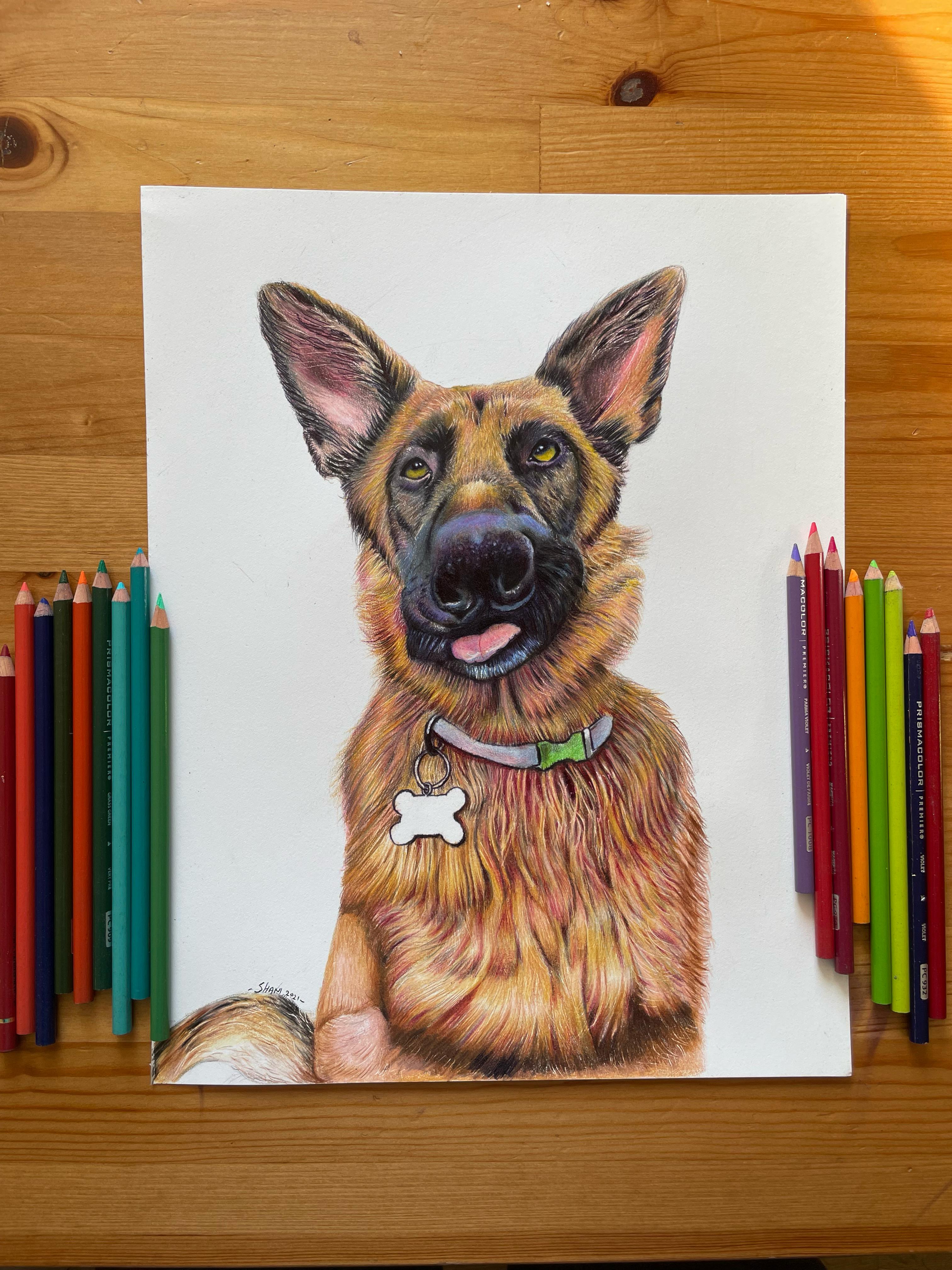 Colored Pencil Art 13