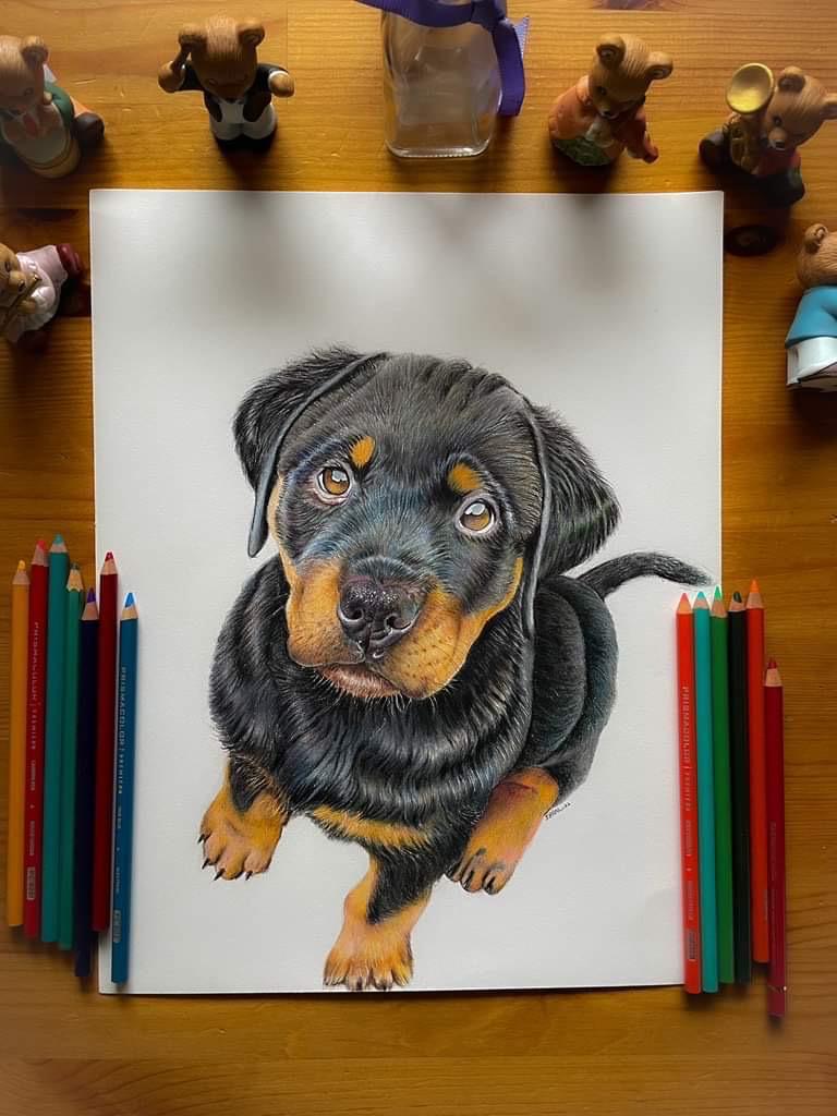 Colored Pencil Art 5