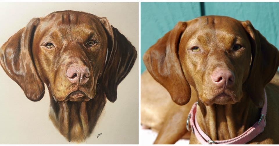 Reference Photo vs Art Comparison